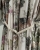 IMG_1713.jpeg